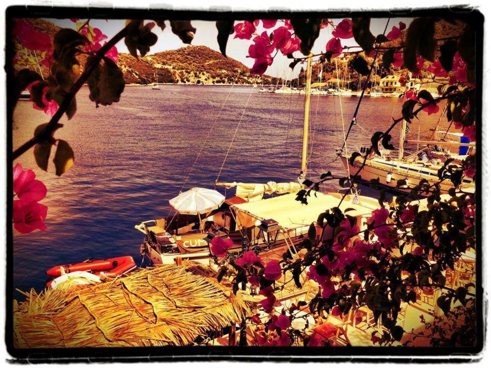 Trocolo Apartments Sivota  Luaran gambar